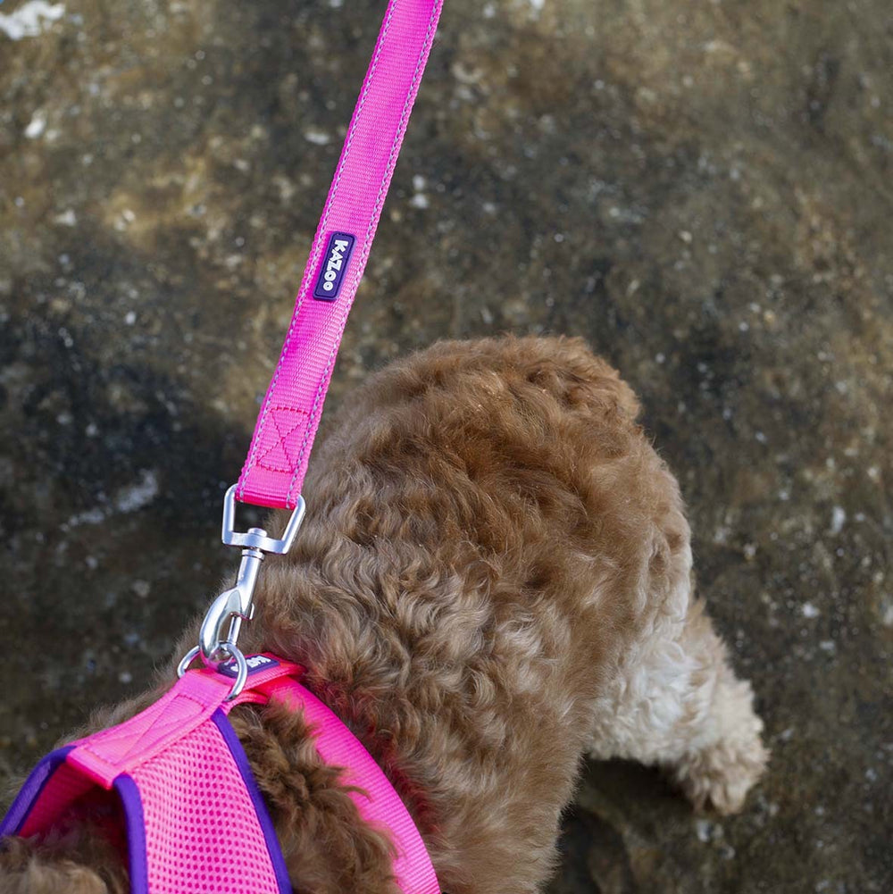 Kazoo Dog Leash Active Bloom Burst 1200mm [:15mm]