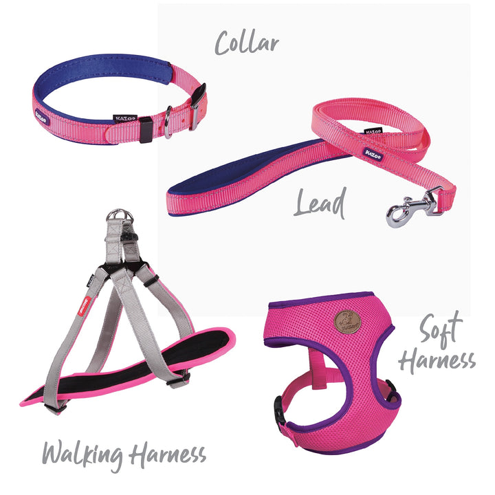 Kazoo Dog Leash Active Bloom Burst 1200mm [:15mm]