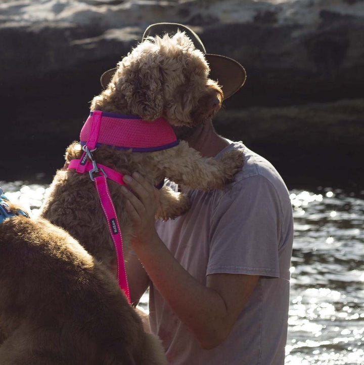 Kazoo Dog Leash Active Bloom Burst 1200mm [:15mm]