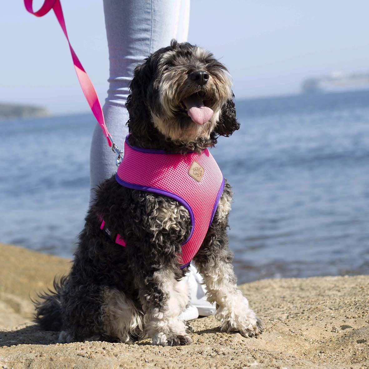 Kazoo Dog Leash Active Bloom Burst 1800mm [:15mm]