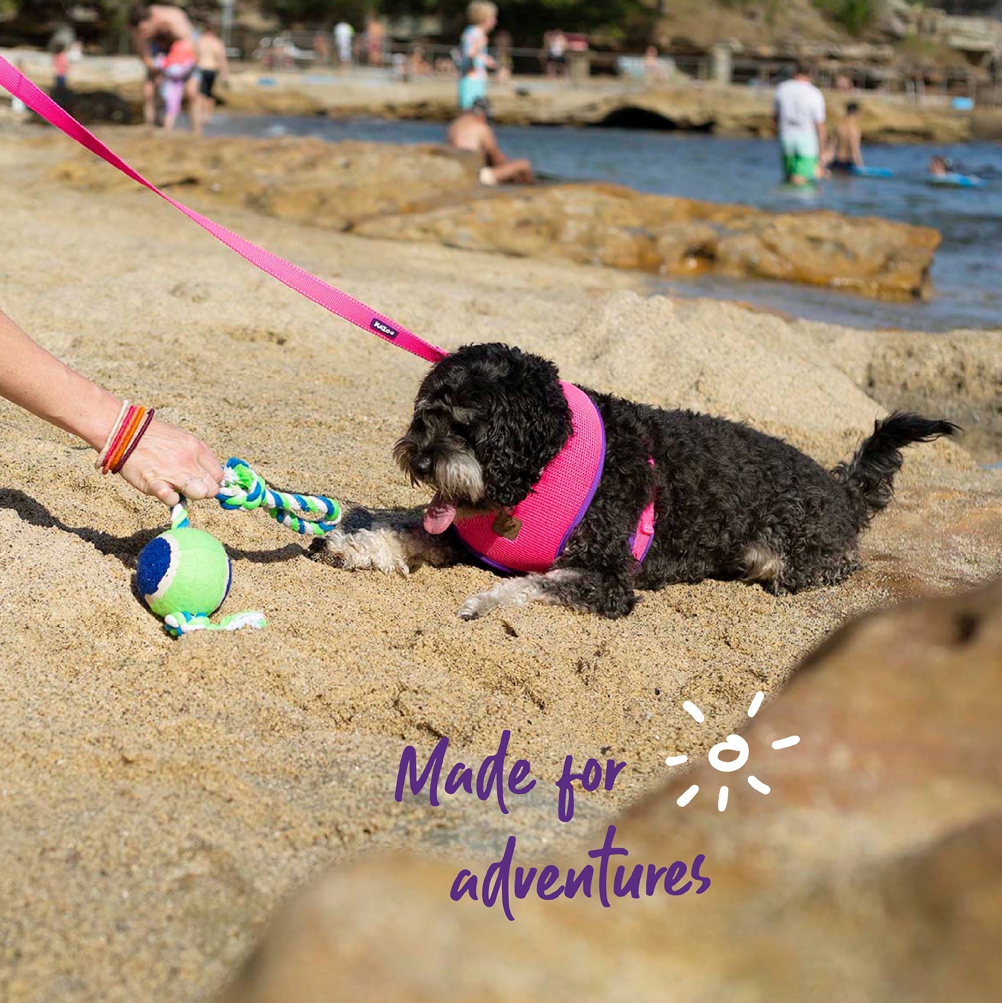 Kazoo Dog Leash Active Bloom Burst 1800mm [:15mm]
