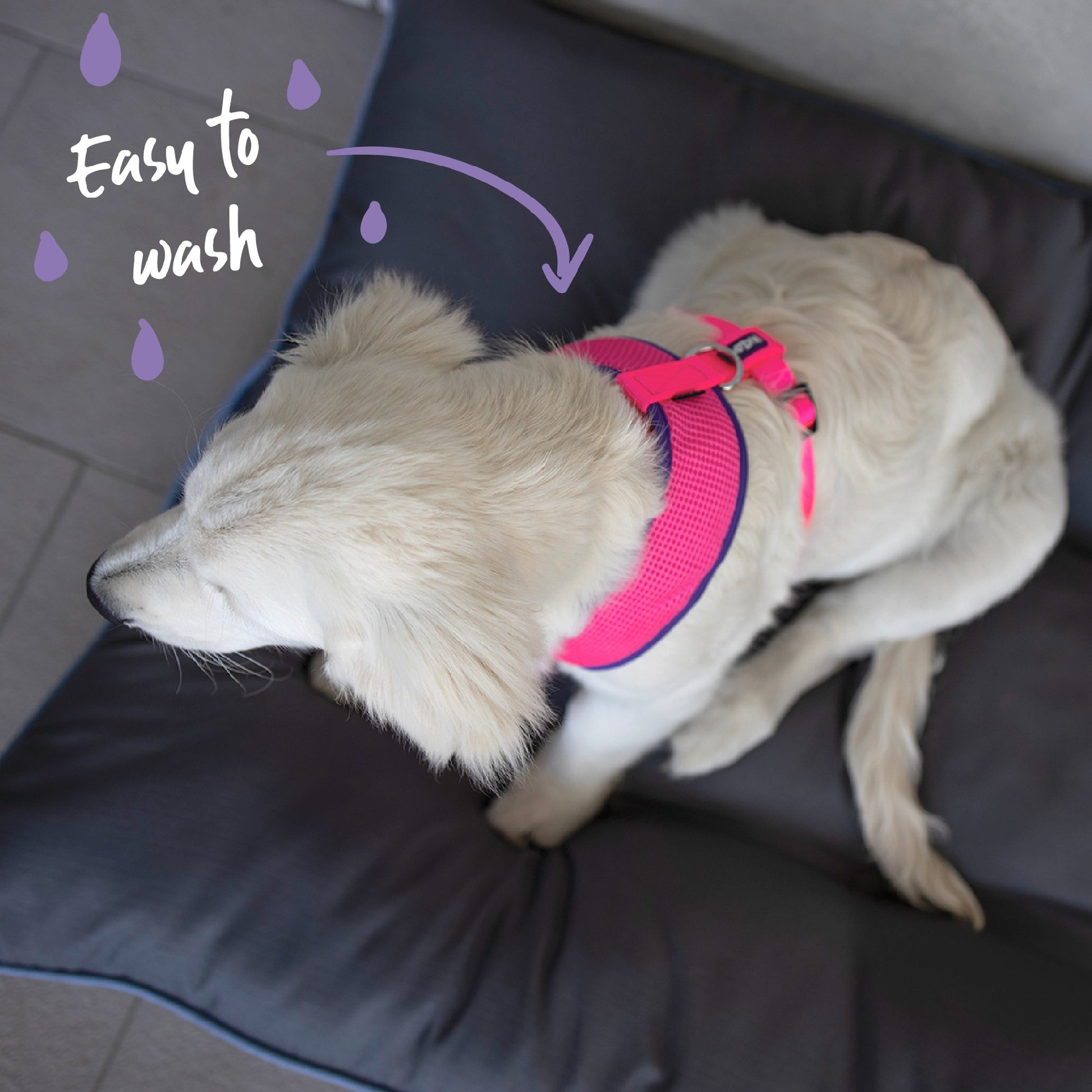 Kazoo Harness Active Soft Bloom Burst [:xxs]