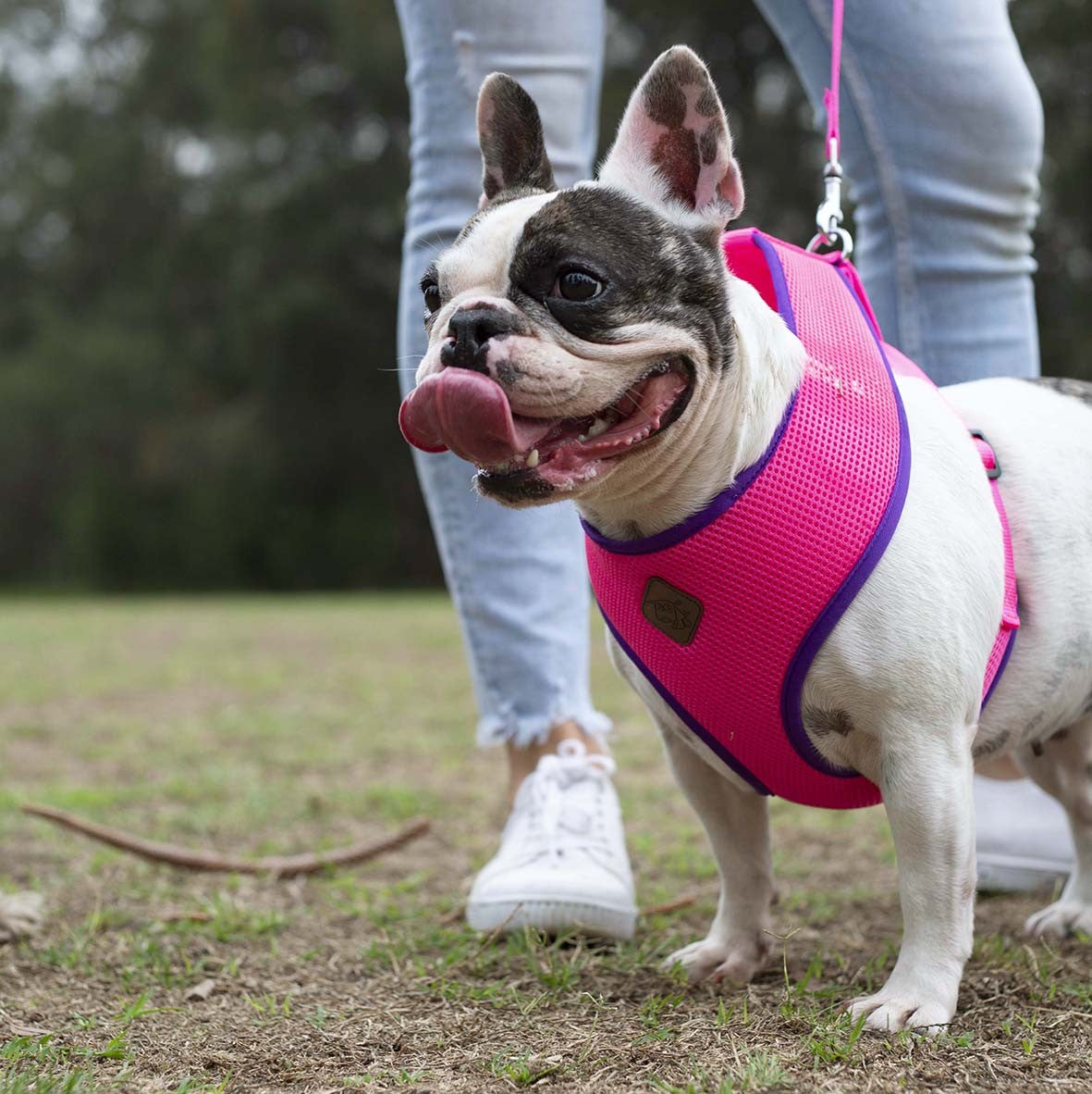 Kazoo Harness Active Soft Bloom Burst [:xxs]