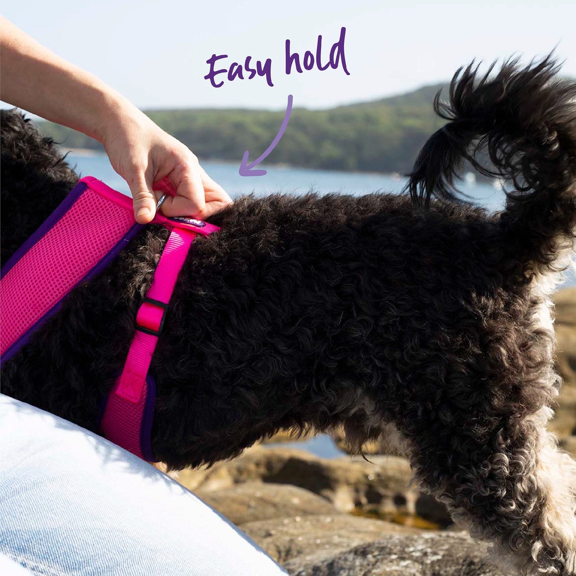Kazoo Harness Active Soft Bloom Burst [:xxs]