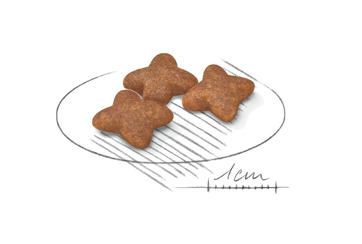 Royal Canin Dog Mini Adult 4kg 