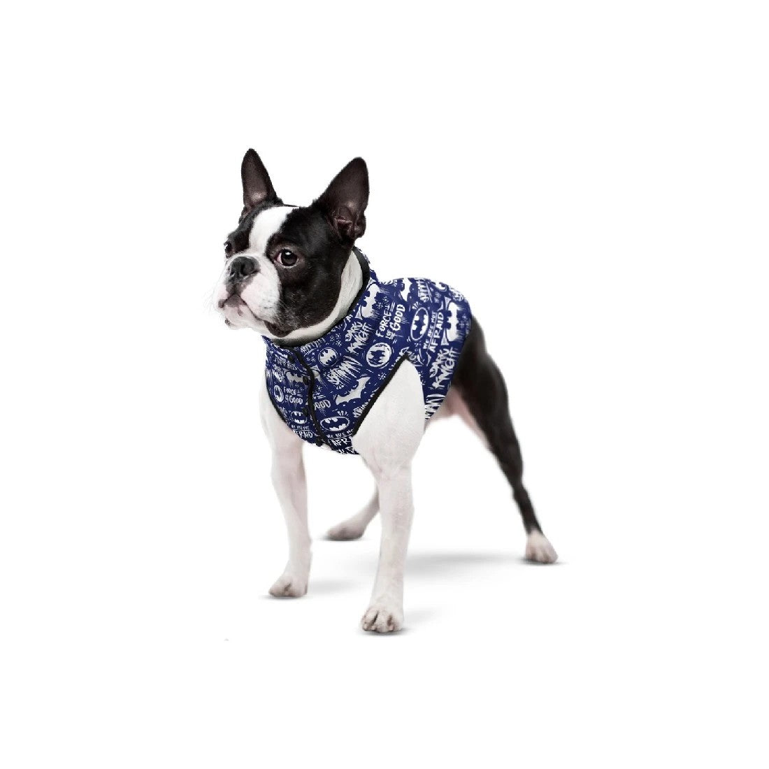 Waudog Jacket Batman [:s35]