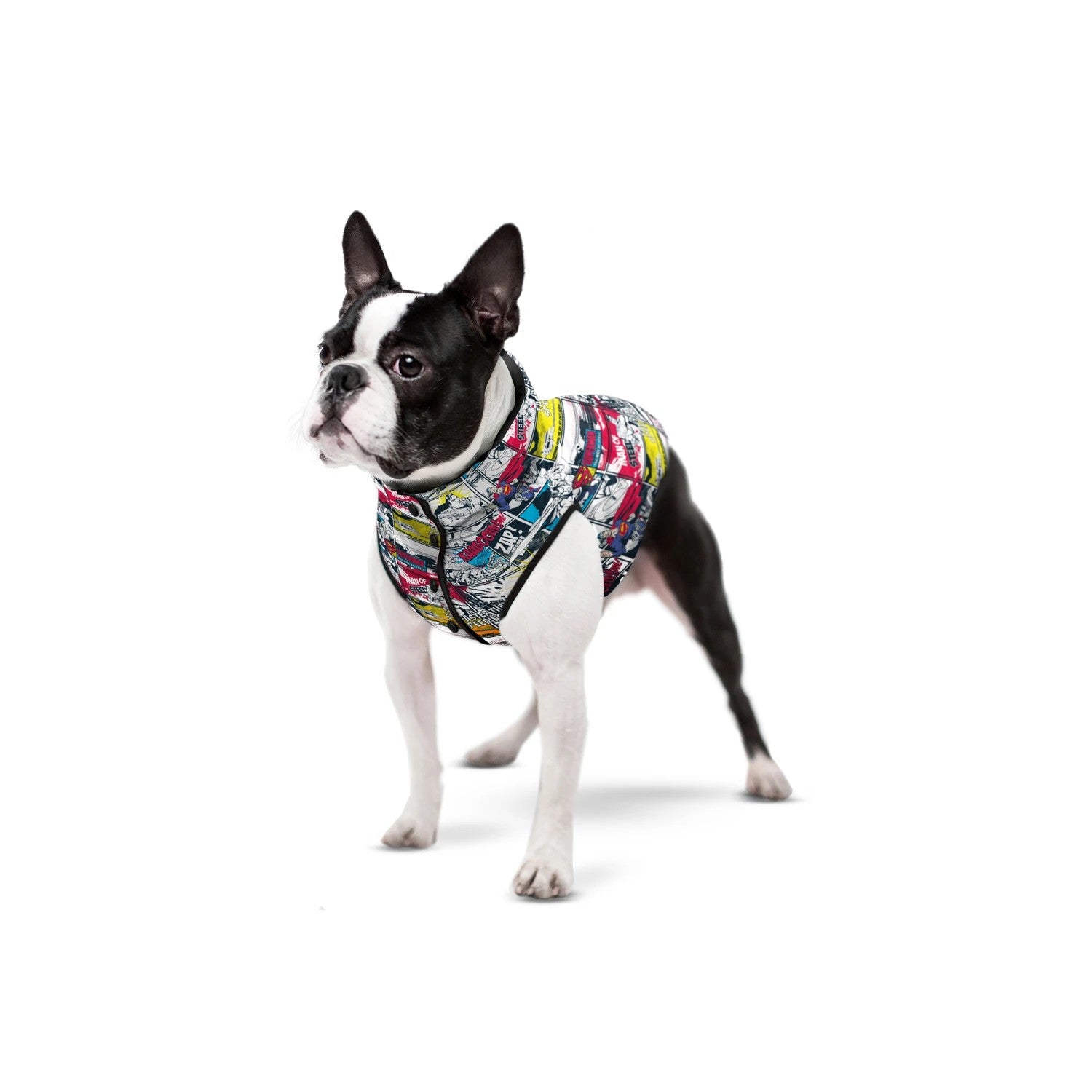 Waudog Jacket Superman Comic [:xs30]
