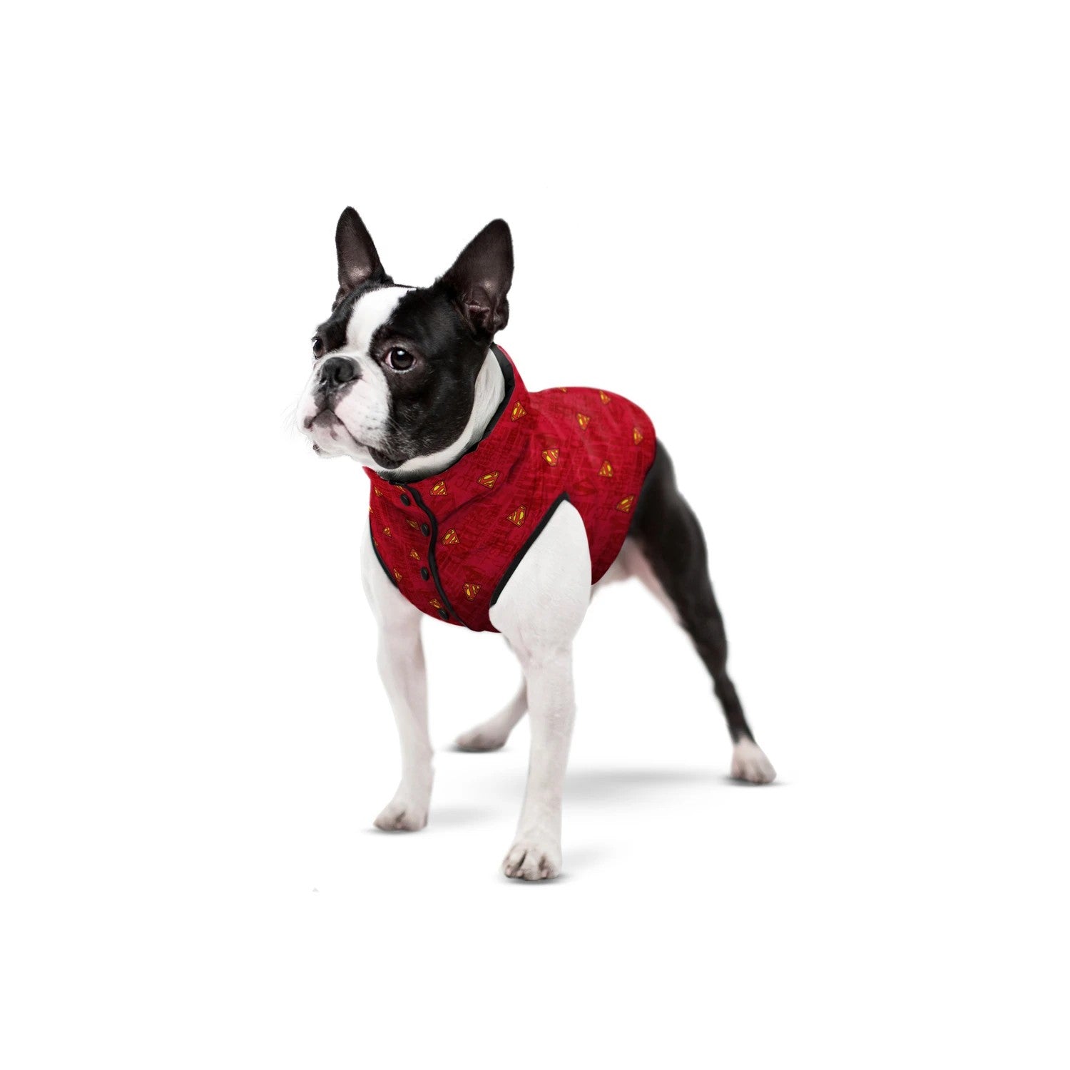 Waudog Jacket Superman Red [:xs30]
