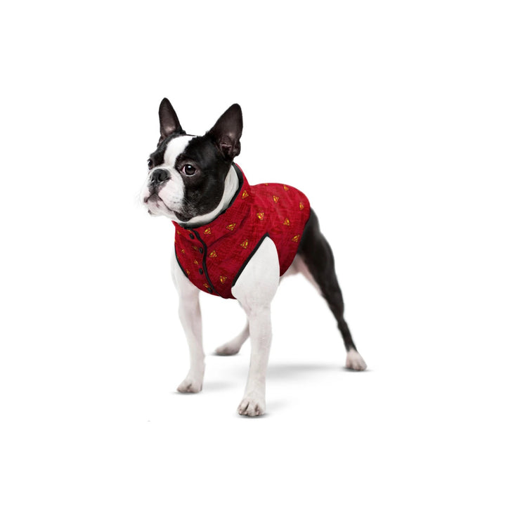Waudog Jacket Superman Red [:m50]