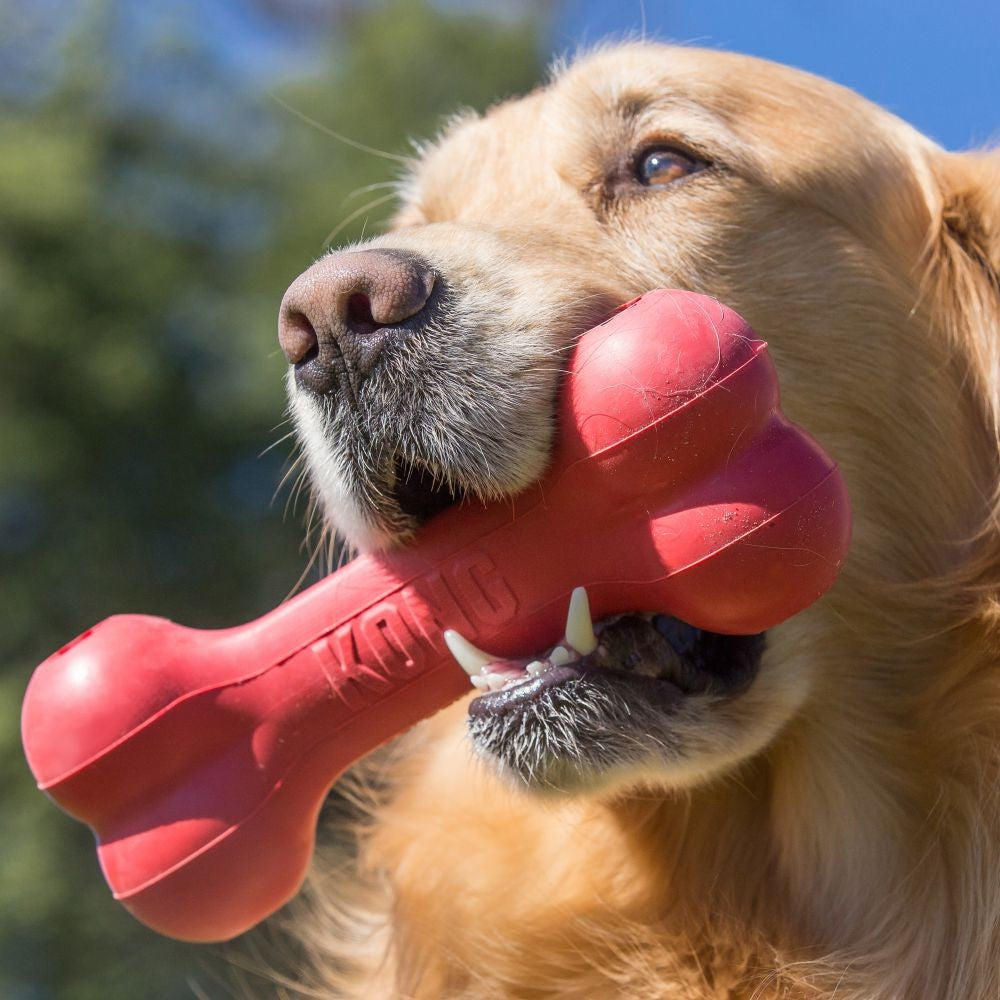 Kong Dog Toy Goodie Bone [:small]