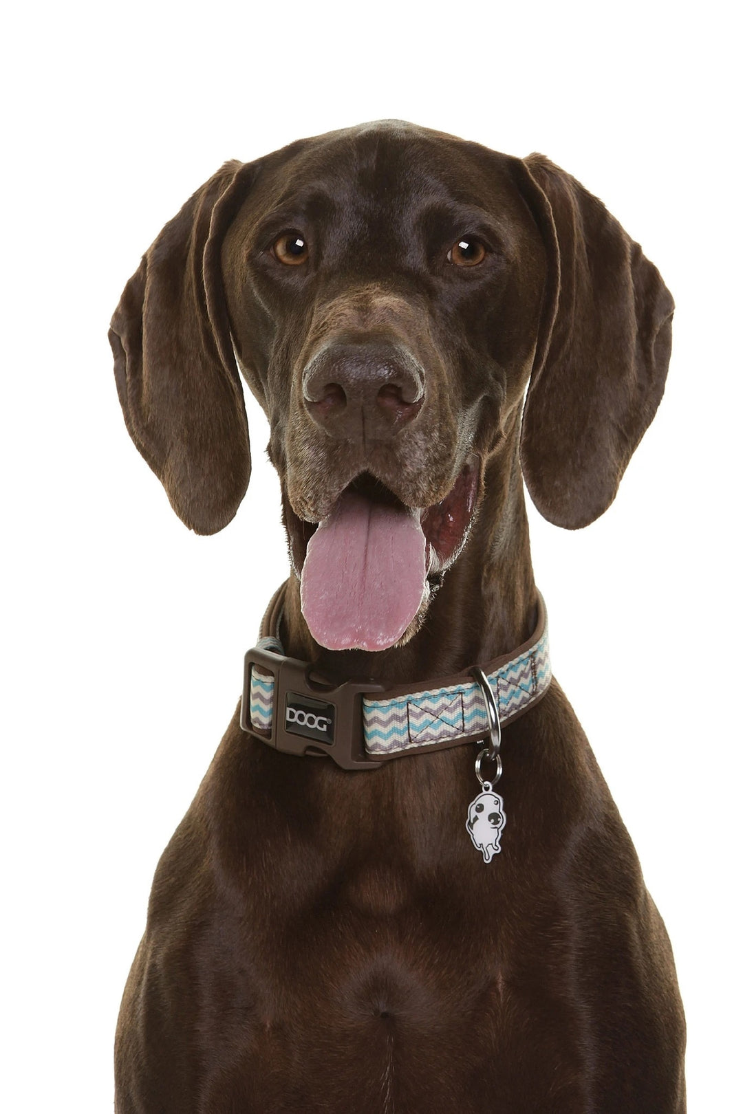 Doog Dog Collar Benji [:extra Small]