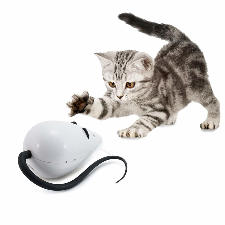 Cat Toy Frolicat Rolorat Automatic Teaser