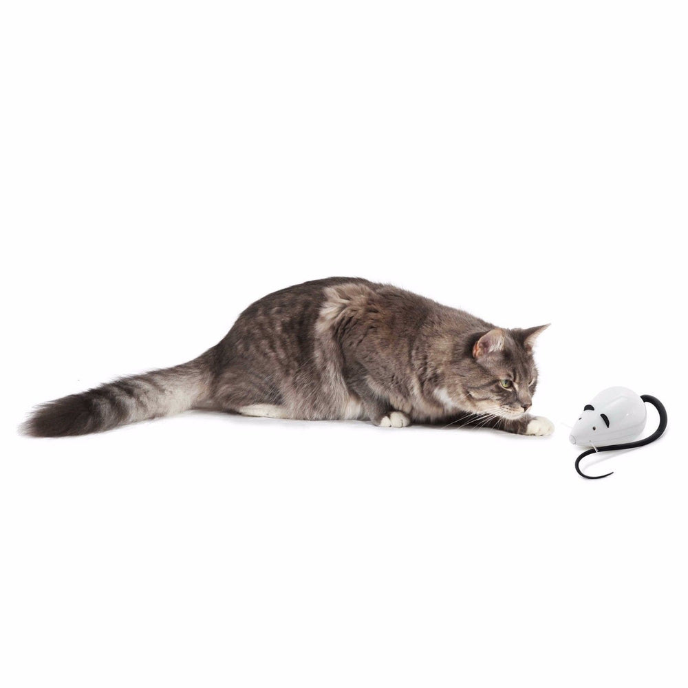 Cat Toy Frolicat Rolorat Automatic Teaser