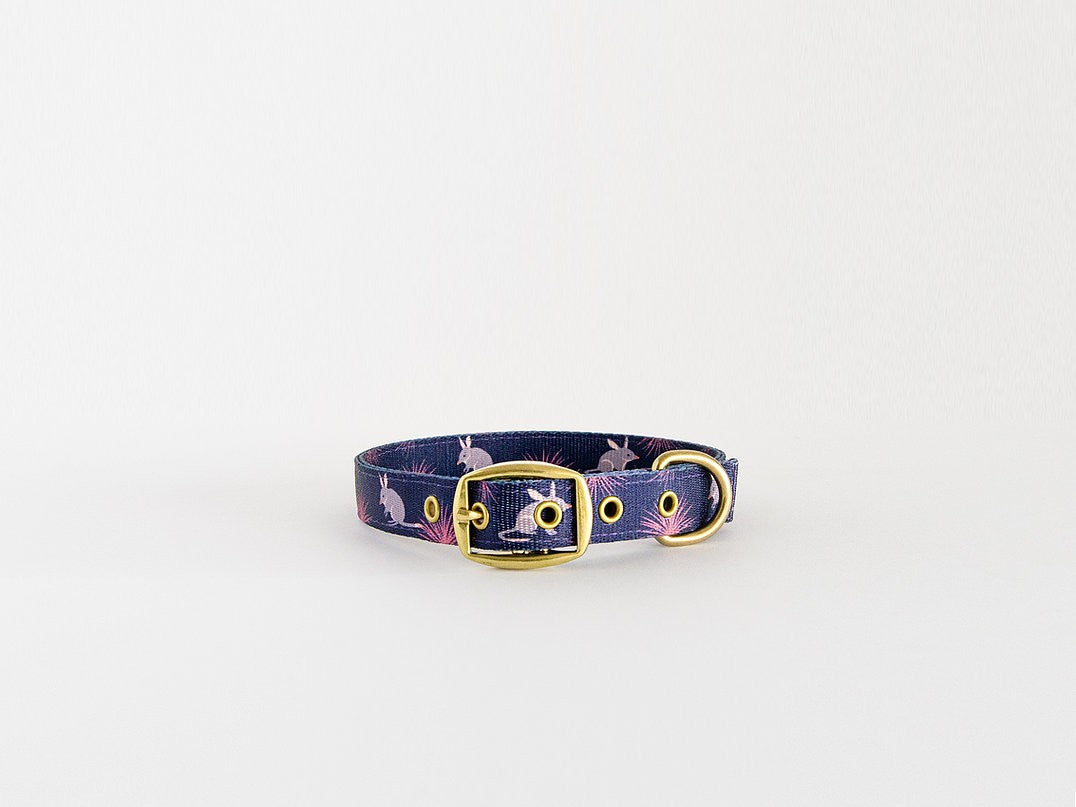 Anipal Dog Collar Billie The Bilby [:small]