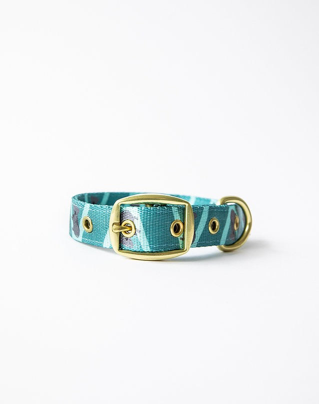 Anipal Dog Collar Kylo The Koala [:small]