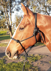 Nungar Headstall Knotted 8mm Black [:arab]