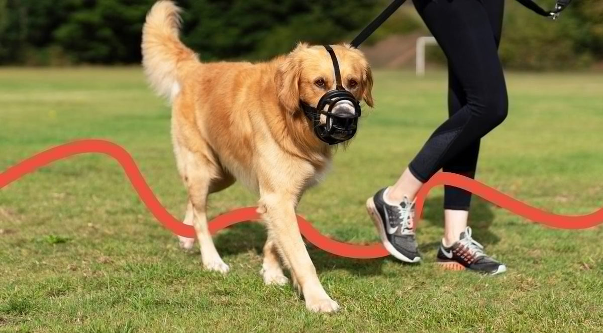 Muzzle Dog Baskerville Ultra Size [:2]