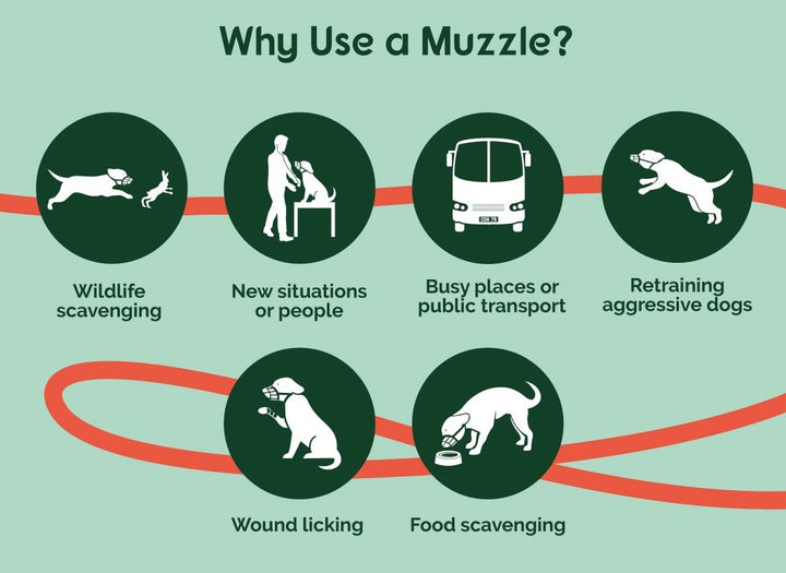 Muzzle Dog Baskerville Ultra Size [:2]