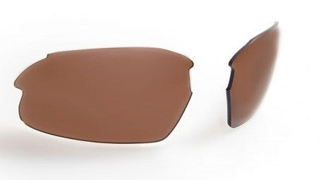 Sunglasses Gidgee Cleancut Tortoise Frame & Brown Lens