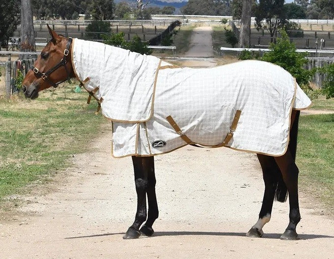 Grand National Crossover Combo Eurohunter [:5'9"]