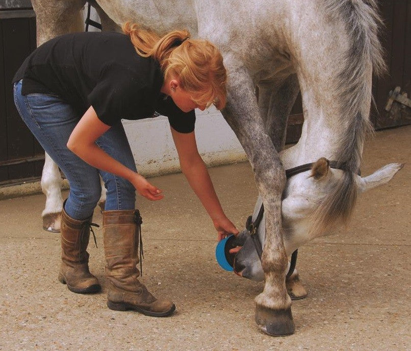 Horslyx Garlic Mini Vitamin & Mineral Lick 650gm
