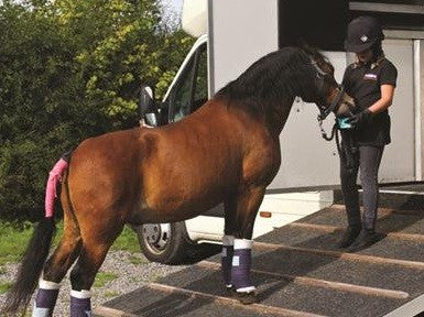 Horslyx Garlic Mini Vitamin & Mineral Lick 650gm