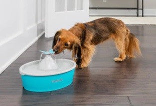 Drinkwell Pet Fountain Butterfly