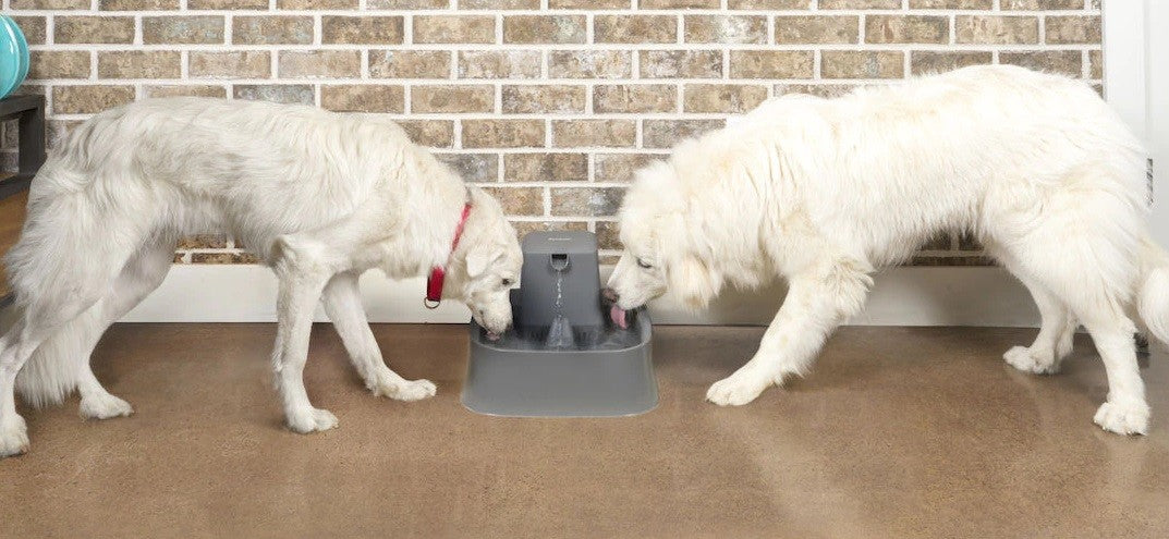 Drinkwell Pet Fountain 7.5litre
