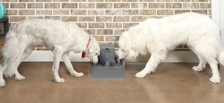Drinkwell Pet Fountain 7.5litre