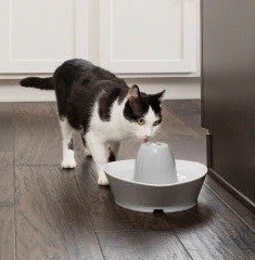 Drinkwell Pet Fountain Streamside Ceramic