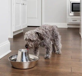 Drinkwell Pet Fountain Seaside Stainless Steel