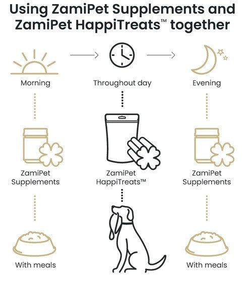 Zamipet Dog Chew Best Start Puppy 300gm