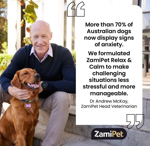 Zamipet Dog Chew Relax & Calm 300gm