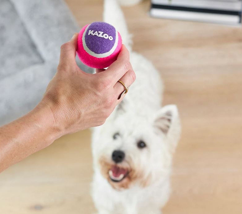 Kazoo Dog Toy Tennis Ball Squeaky Medium