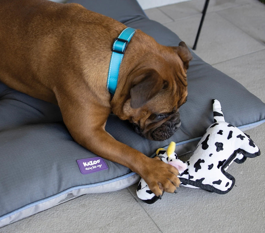 Kazoo Dog Toy Tough Cow [:small]