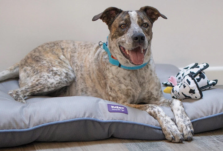 Kazoo Dog Toy Tough Cow [:small]