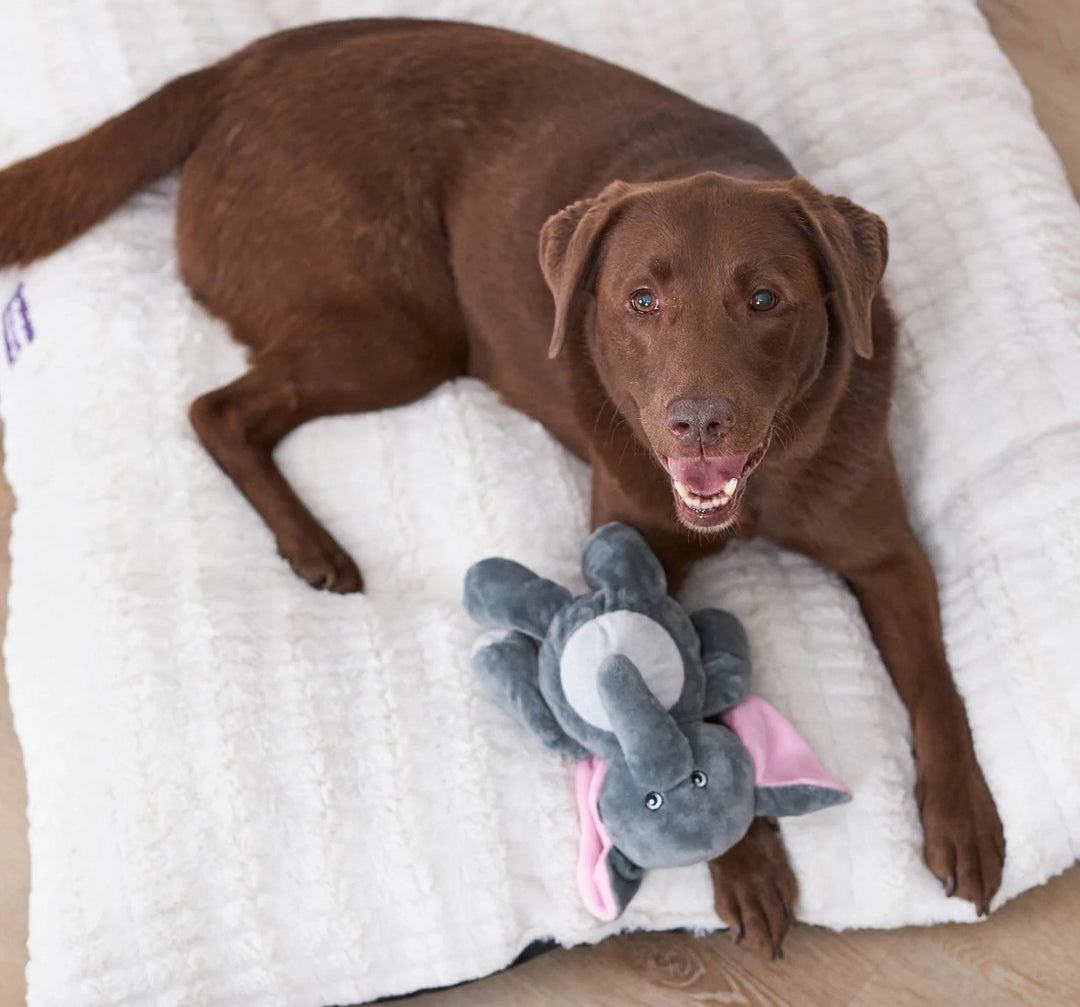 Kazoo Dog Toy Furries Long Eared Elephant Small