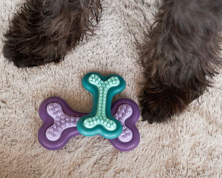 Kazoo Dog Toy Puppy Teether [:small]