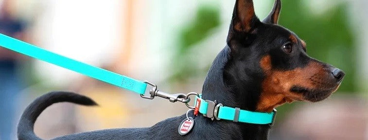 Waudog Waterproof Dog Collar With Qr Passport Blue [:l23cm To 35cm]