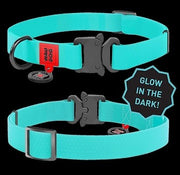 Waudog Waterproof Dog Collar With Qr Passport Glow In The Dark [:l23cm To 35cm]