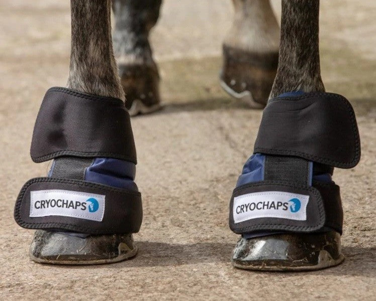 Ice Wrap Cryochaps Absolute Pastern Hocks Knees Pair
