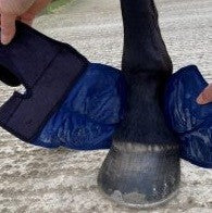Ice Wrap Cryochaps Absolute Pastern Hocks Knees Pair