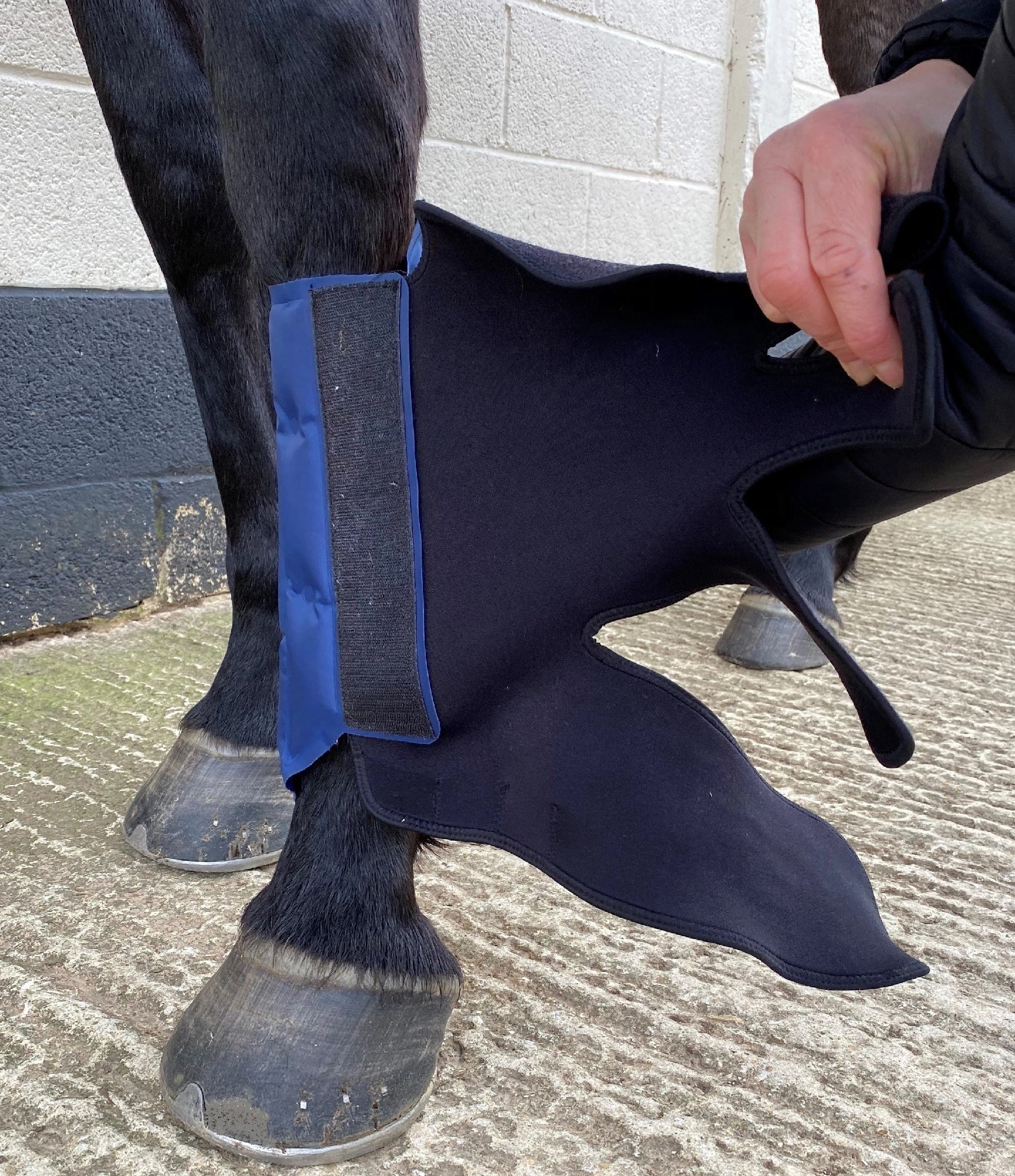 Ice Wrap Cryochaps K2f Pair Hind [:large]