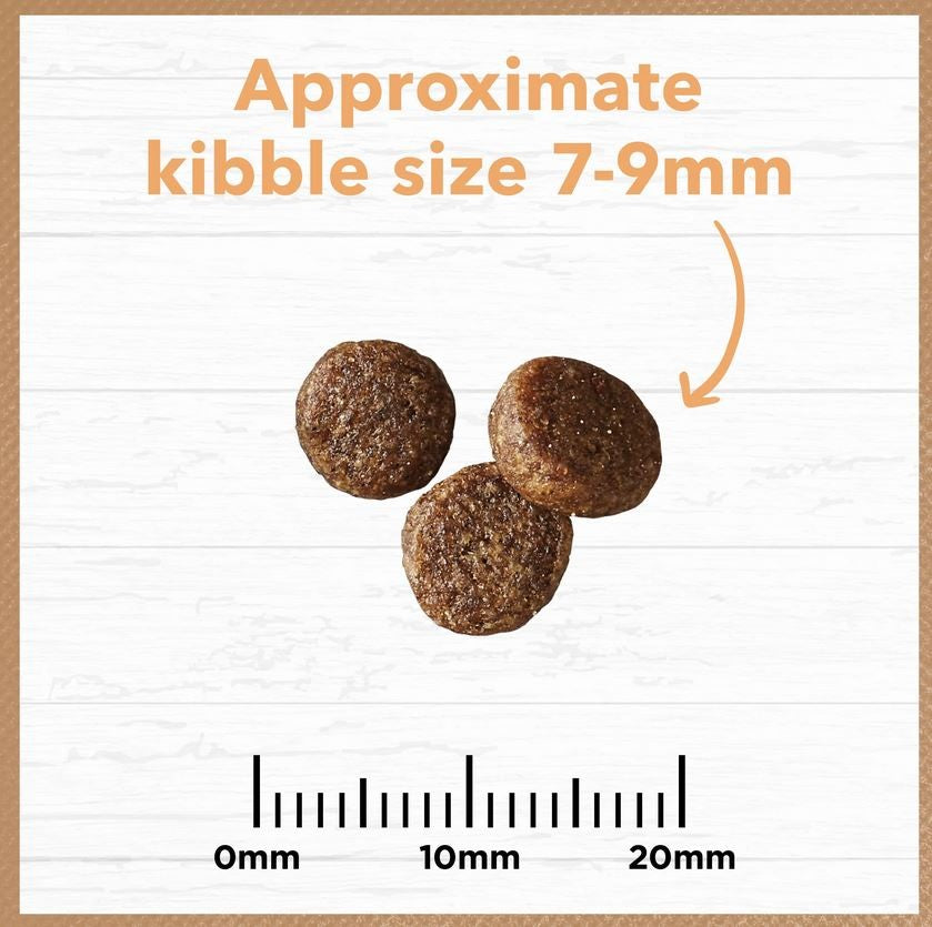 Ivory Coat Cat Grainfree Kitten Chicken 2kg