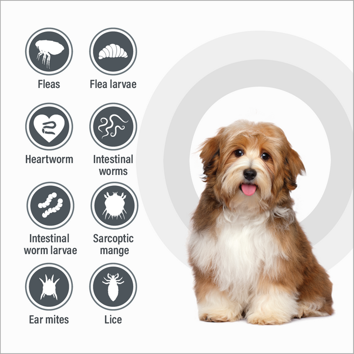 Talentcare Spot On Dog & Puppy Under 4kg 3 Pack