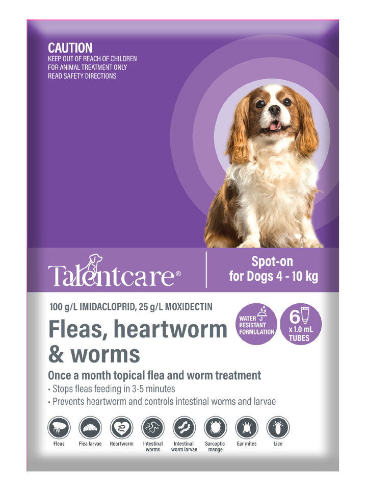 Talentcare Spot On Dog 4kg-10kg 6 Pack