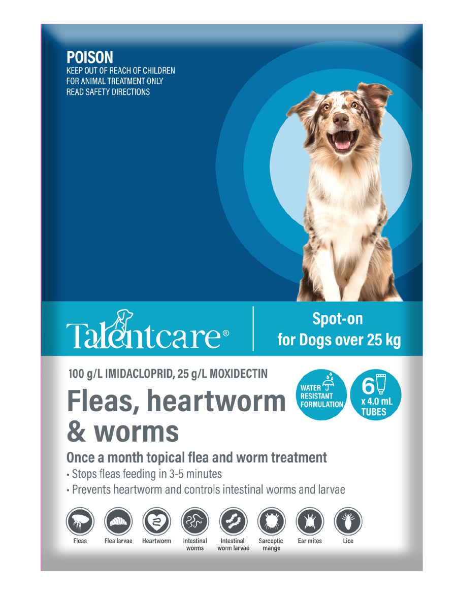 Talentcare Spot On Dog Over 25kg 6 Pack