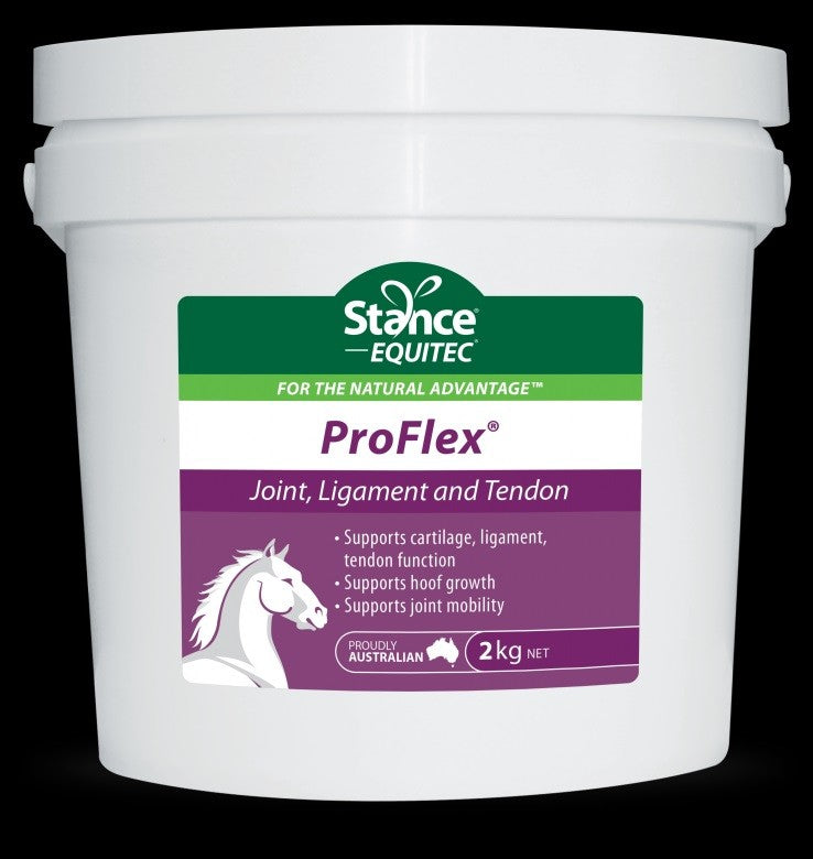 Stance Equitec Proflex 2kg