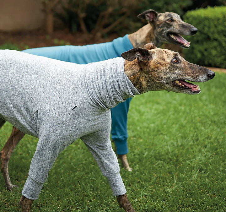 Kazoo Dog Rug Greyhound Softie Grey [:59cm-65cm]