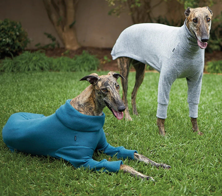 Kazoo Dog Rug Greyhound Softie Grey [:59cm-65cm]